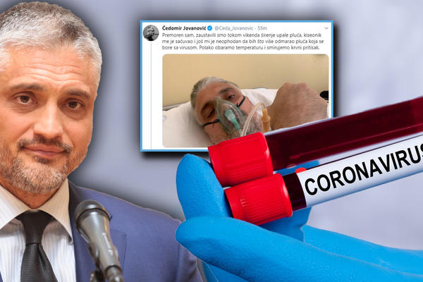 AJMO ČEDO POTOČARI TE ČEKAJU, IMA MESTA IZA TEBE: Najbolesnija poruka lideru LDP!