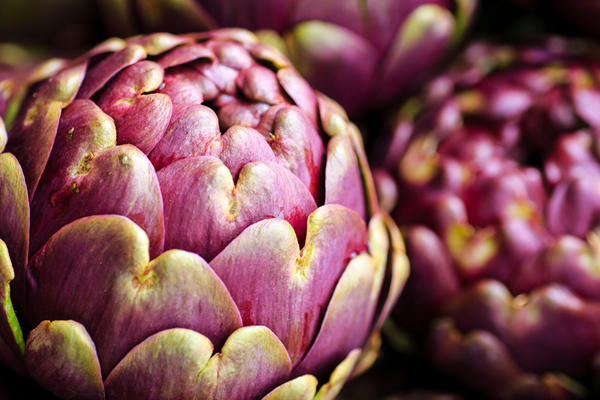 IMATE POVIŠENE TRIGLICERIDE I MASNU JETRU? Ova biljka je PRAVO REŠENJE!