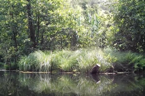 NAJVEĆA MISTERIJA SRBIJE KRIJE SE NA KOPAONIKU! Ljudi pričaju da su videli čuda, a evo šta je istina! (VIDEO)