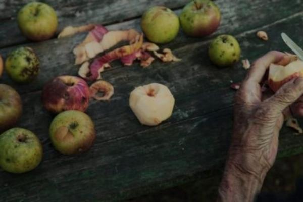 DOKUMENTARAC MAJE NOVAKOVIĆ "A SAD SE SPUŠTA VEČE" PREDLOŽEN JE ZA OSKAR 2021