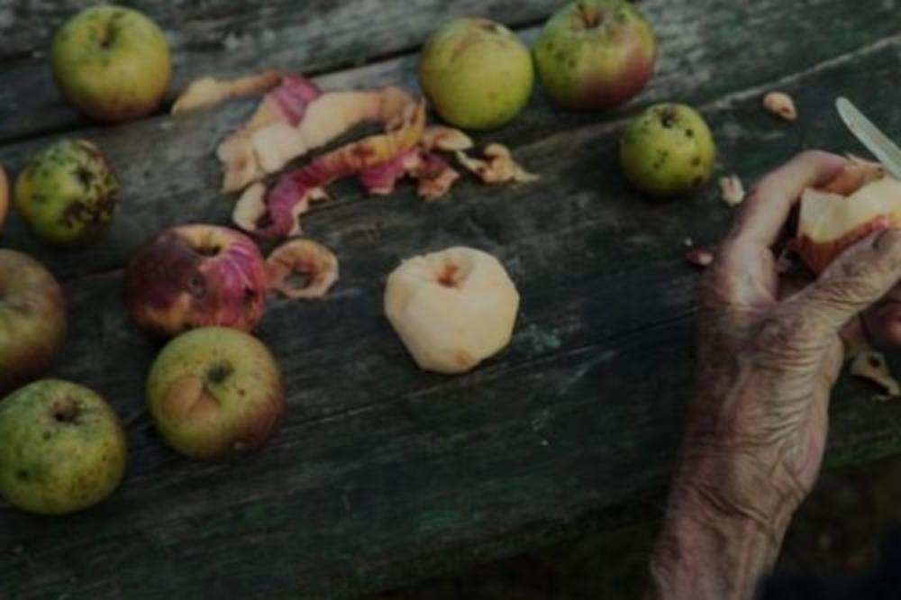 DOKUMENTARAC MAJE NOVAKOVIĆ "A SAD SE SPUŠTA VEČE" PREDLOŽEN JE ZA OSKAR 2021