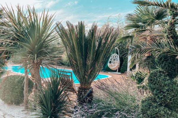 DVORIŠTE SEKE ALEKSIĆ OSTAVLJA BEZ DAHA! Kao da ste na odmoru iz snova, palme, bazen...pravi BALI!