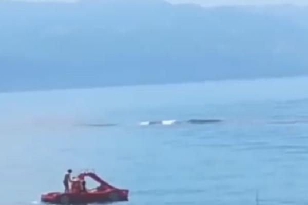 HOROR NA OBALI TANZANIJE: Ova vest je zgrozila SVET!