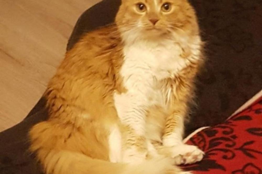 VIDITE LI IŠTA ČUDNO NA OVOJ SLICI: Kad primijetite SAMO 1 DETALJ, ZAPREPASTIĆETE SE