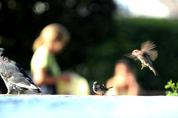 NOVI VELIKI VREMENSKI ŠOK: Stiže naglo zahlađenje, temperatura pada za 12 stepeni, EVO KADA!