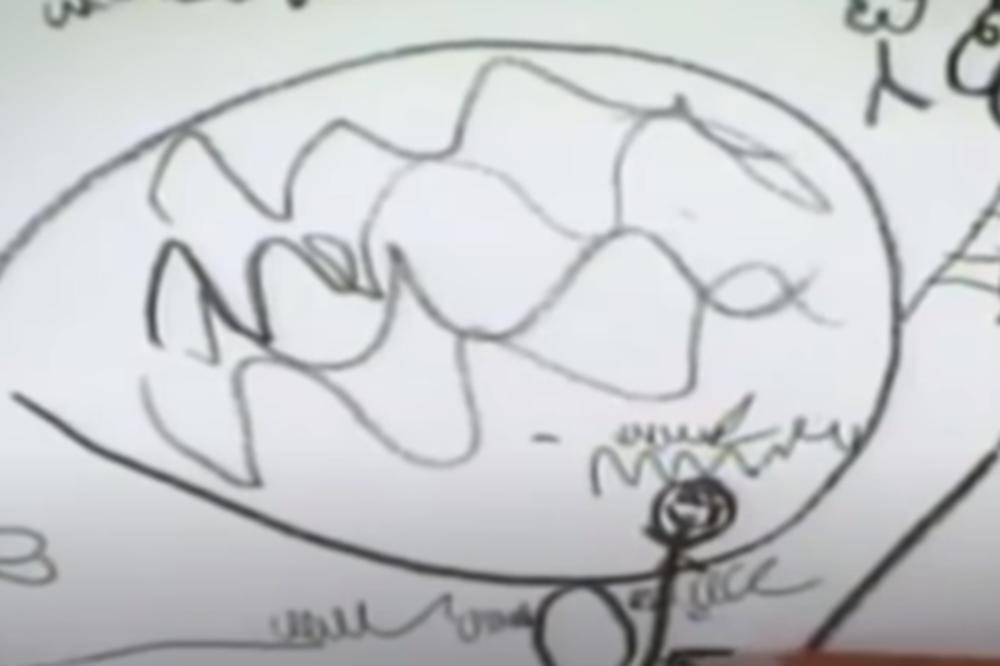 DEČAK JE NA PARČETU PAPIRA NACRTAO BAZEN I SESTRU, a njegova majka je zbog toga osuđena na DOŽIVOTNU ROBIJU