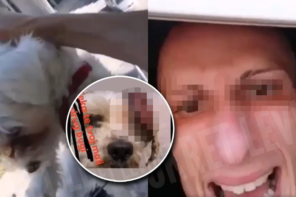 GLEDAJ KAKO ĆU DA GA KOLJEM: Ovaj monstrum je opasan i po ljude, Levijatan traži pravdu! (VIDEO)