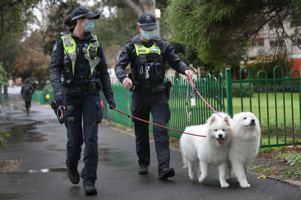 VRLO AMBICIOZNA ZAMISAO: Čile uz pomoć pasa pronalazi obolele od korene