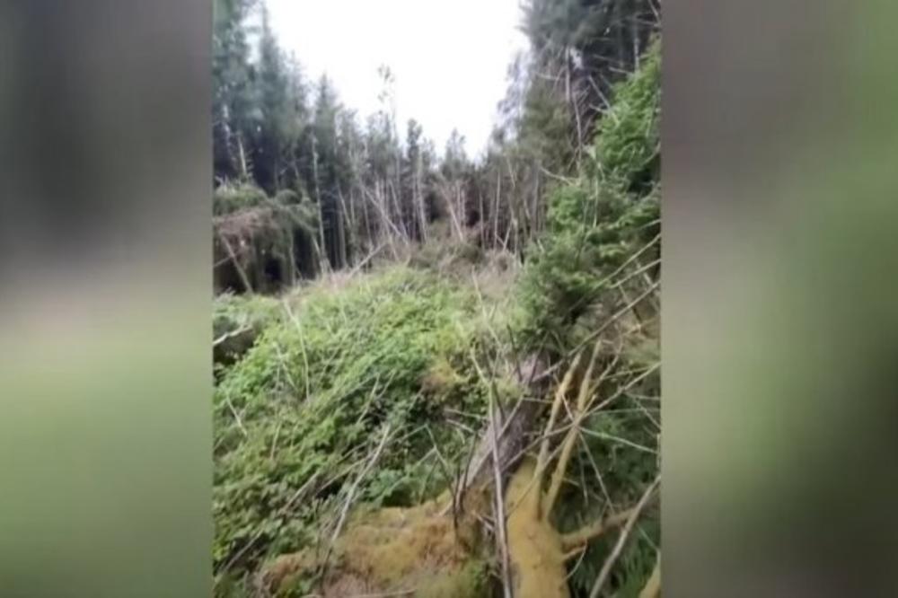 OSETIO SAM JEZU, IMAO SAM UTISAK DA ME NEKO POSMATRA! Šetao psa i pronašao u šumi mesto gde je pao NLO?! (VIDEO)