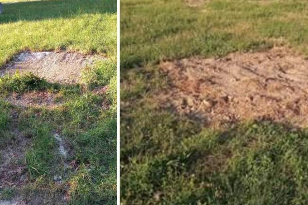 NEZAPAMĆEN KULTURNI SKANDAL U APATINU: Direktorka počupala iz parka vredne skulpture uglednih umetnika