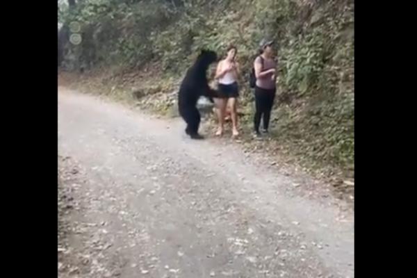 BEZGRANIČNA HRABROST: Devojkama je prišao medved, ono što je ona uradila zadivilo je sve