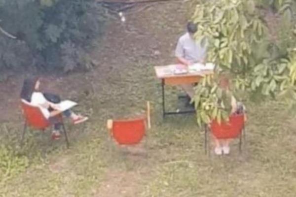 SRPSKI PROFESOR ZAKAZAO ISPIT ISPOD ORAHA! Zbog 1 stvari svi pričaju o njegovom potezu (FOTO)