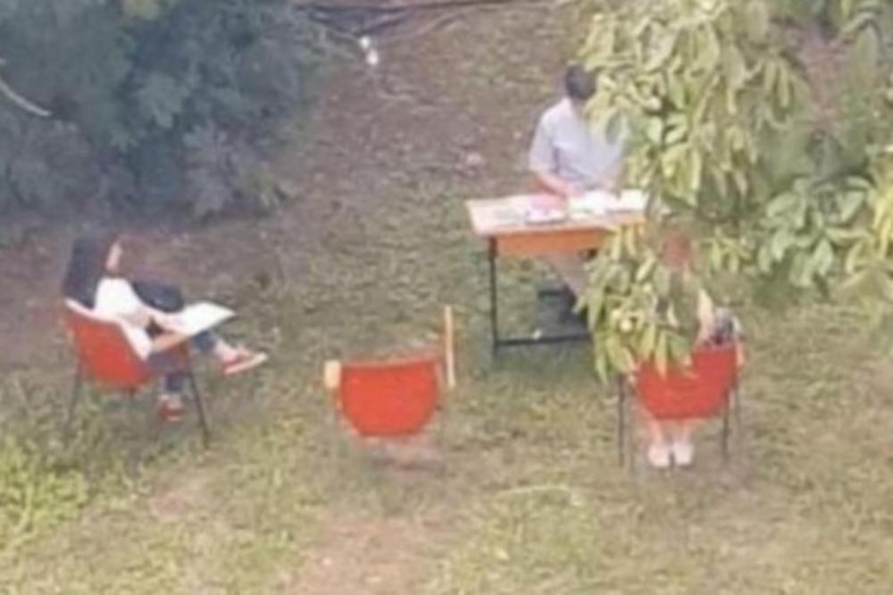 SRPSKI PROFESOR ZAKAZAO ISPIT ISPOD ORAHA! Zbog 1 stvari svi pričaju o njegovom potezu (FOTO)
