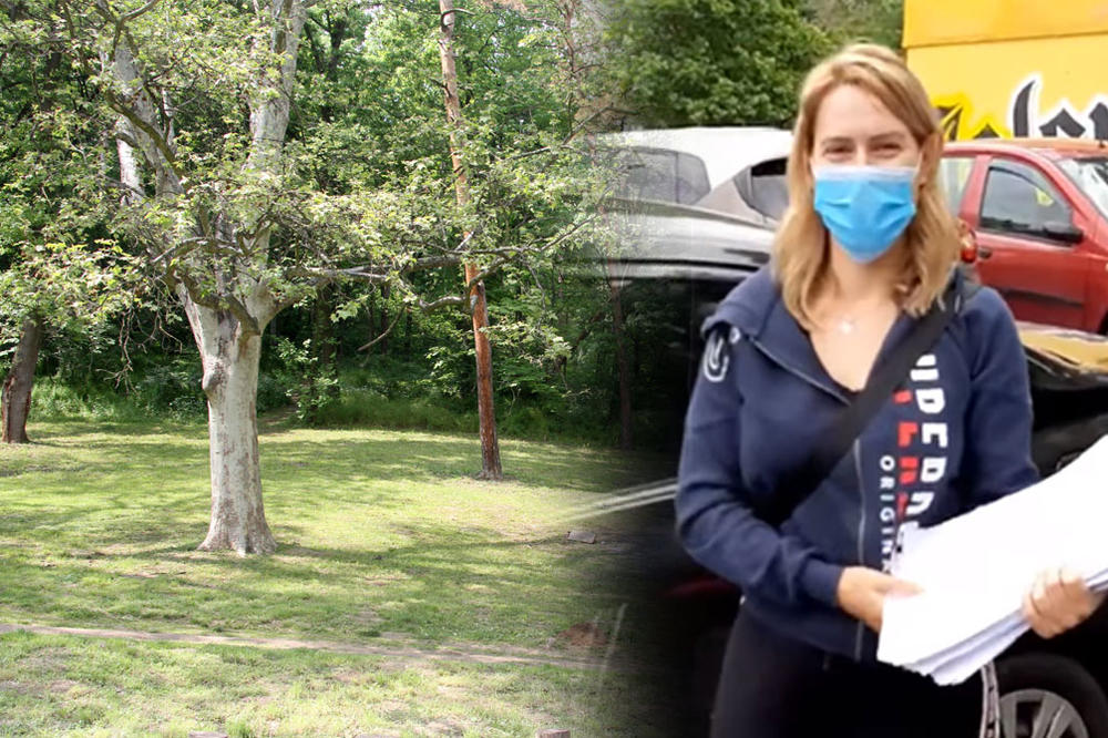 U JEKU BORBE ZA KOŠUTNJAK JEDNA DEVOJKA JE UČINILA NEMOGUĆE: Svi su joj zahvalni na tome (VIDEO)