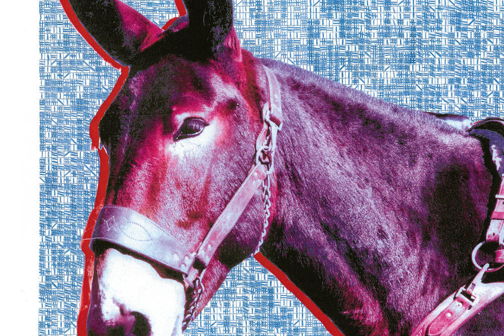 ČOVEK SENKA PREPORUČUJE: Ovo je pet albuma koje bi trebalo da preslušate danas (VIDEO)