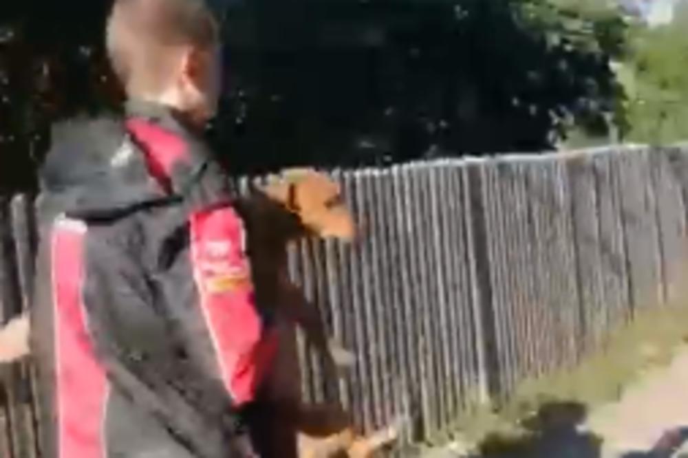 SRBIN JE TOLIKO TUKAO PSA DA JE ŽIVOTINJICA ARLAUKALA! Pas bio i gladan, A ONDA MU JE STIGLA POMOĆ! (VIDEO)