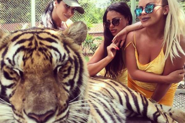 BAKA SESTARA RODIĆ OTKRILA ISTINU O NJIHOVOM ODRASTANJU! Sve je počelo od osnovne škole, od tad im je tako u životu