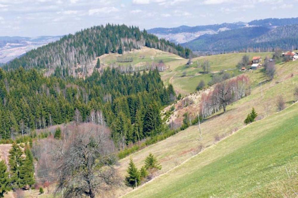 Novo zaštićeno područje u Srbiji: Kanjon reke Vučjanke proglašen za Spomenik prirode