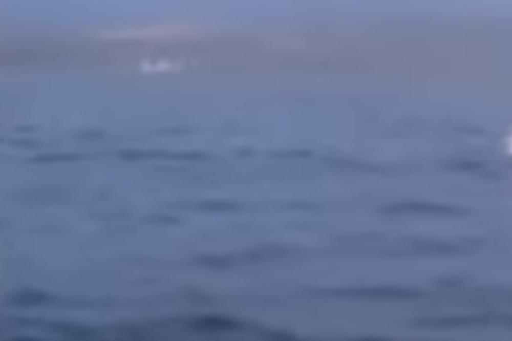 MORSKA NEMAN OD 70 TONA VIĐENA NA JADRANU! Kamera snimila GIGANTSKO STVORENJE, ljudi su u šoku! (VIDEO)