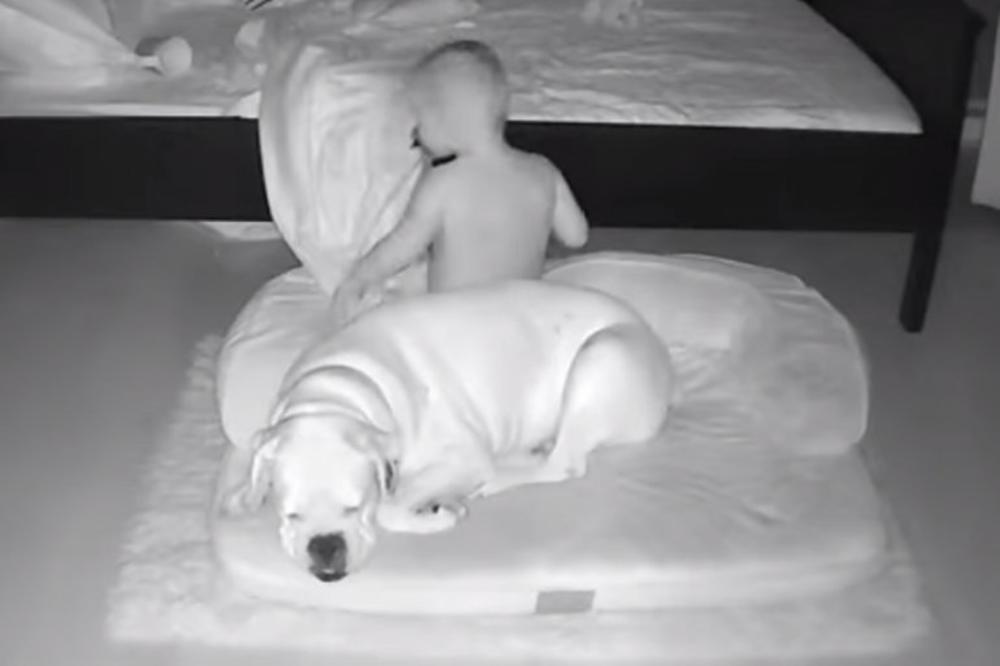 IMALA JE ŠTA DA VIDI: Majka ostavila kameru u dečijoj sobi i videla šta je PAS URADIO NJENOM SINU