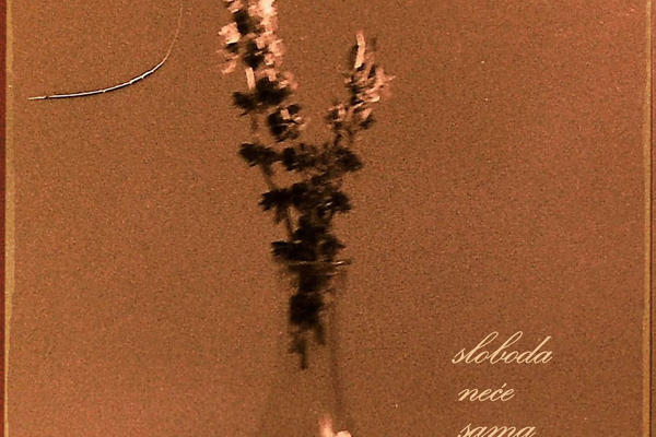 GRUPA BAOBAB OBJAVILA JE NOVI EP - SLOBODA NEĆE SAMA DOĆI