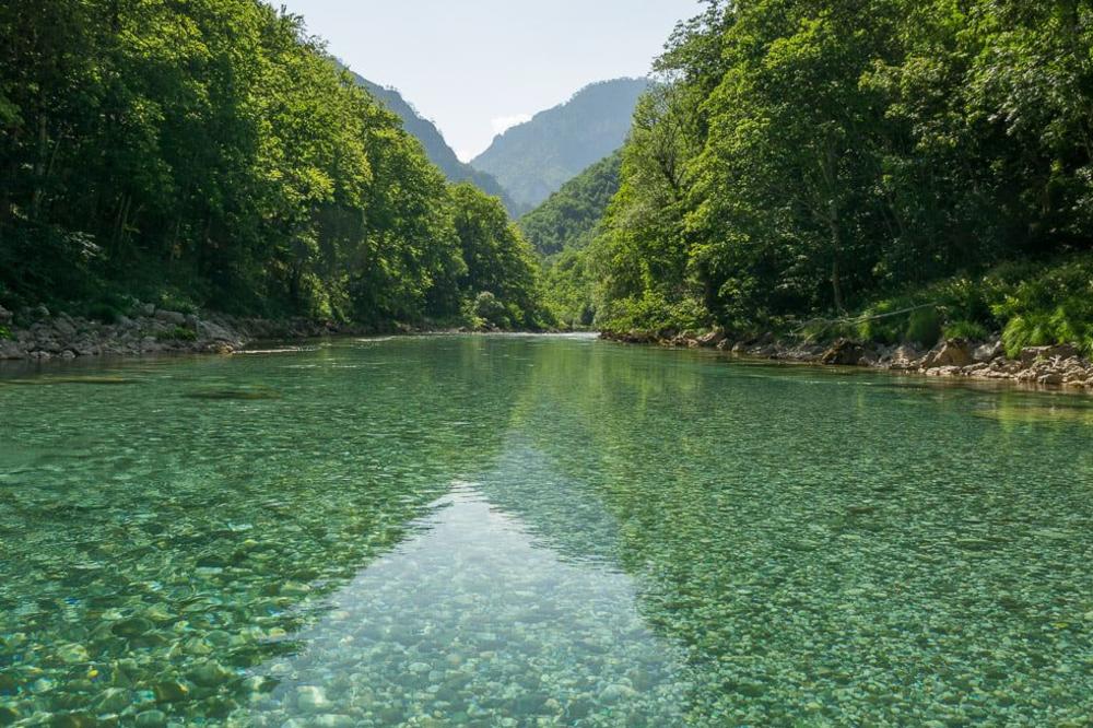 MINI HIDROELEKTANE "UBILE" TARU! Od kristalno čiste reke do BRAON MULJAVE, šta se dešava? (FOTO)