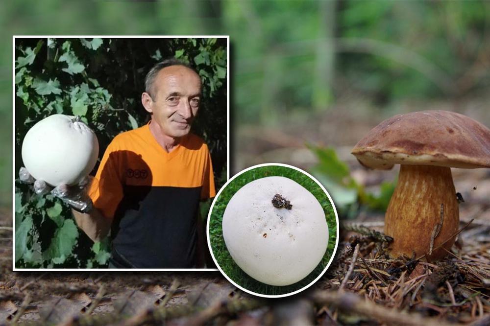 SRETEN ZIMONJIĆ JE PORED ČAČKA PRONAŠAO OVU ČUDNU BELU LOPTU: Tek je jedan BIOLOG otkrio o čemu je ovde reč!