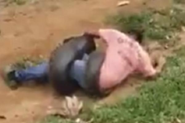 ŠČEPALA GA JE ANAKONDA! U momentu mu savila kosti, počela je borba za život (UZNEMIRUJUĆI VIDEO)