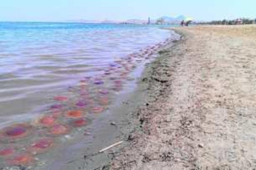 PREKO 100 MAROKANACA DOPLIVALO DO ŠPANSKE ENKLAVE! Policija u toj zemlji ih trenutno identifikuje