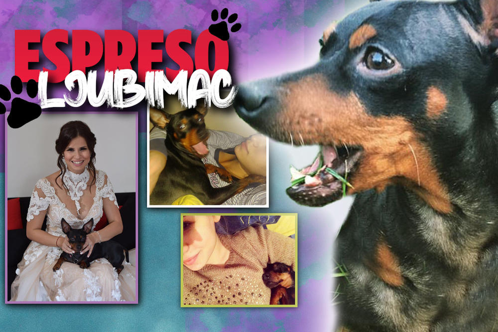 RAZMAŽEN JE DO ZLA BOGA, NEĆU NI POKUŠAVATI DA SE PRAVDAM: Upoznajte Lea, ljubimca vaše omiljene voditeljke Olje