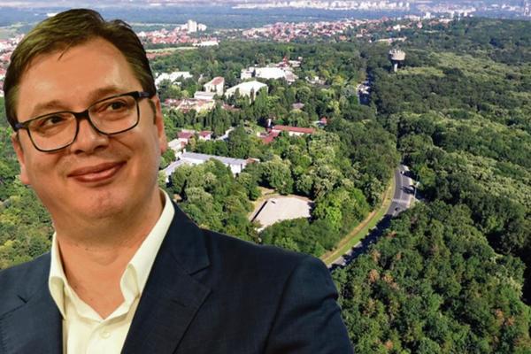 NEĆE BITI SEČE ŠUME U KOŠUTNJAKU! VUČIĆ: Protiv sam seče, ko normalan bi to podržao!
