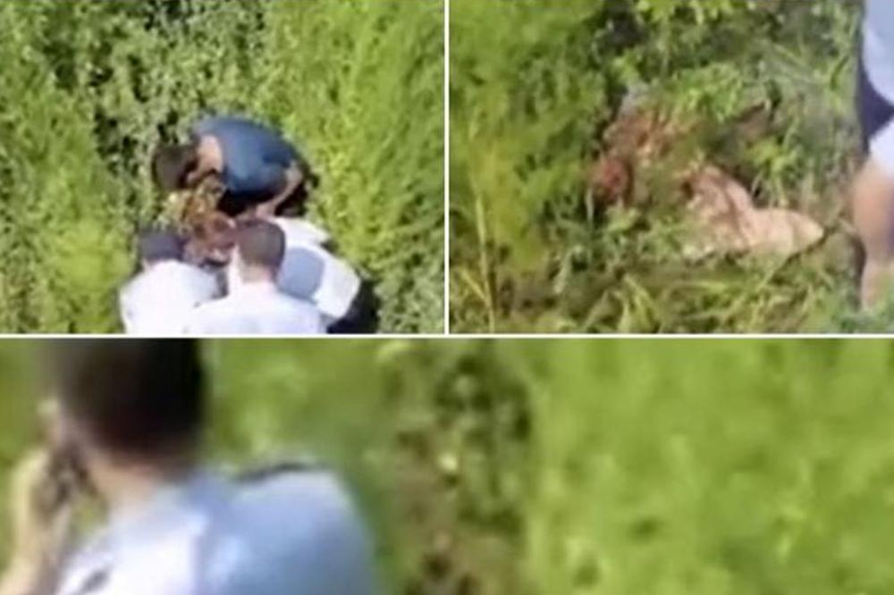 OKO BEBE SU LETELE MUVE I MILELI MRAVI, LICE SU JOJ IZGRIZLI INSEKTI!!! Majka bacila dete s mosta!