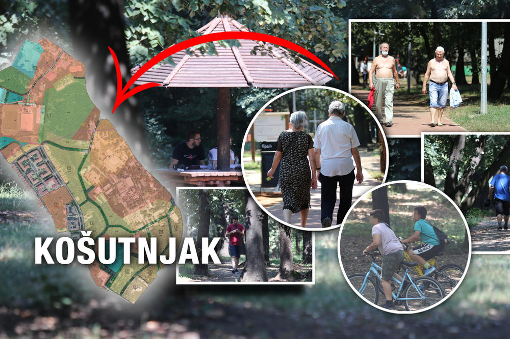 OTIŠLI SMO U PRELEPU ŠUMU NA KOŠUTNJAKU KOJU SU HTELI DA ISEKU: Ovo je jedna od POSLEDNJIH OAZA U BG! (FOTO)(VIDEO)