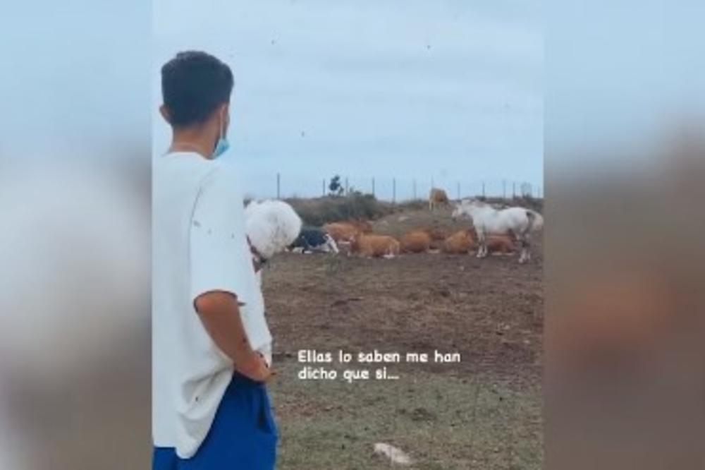 NAVIJAČI BARSE ĆE POBESNETI: Setijenov sin pitao krave da li će Katalonci osvojiti Ligu šampiona!