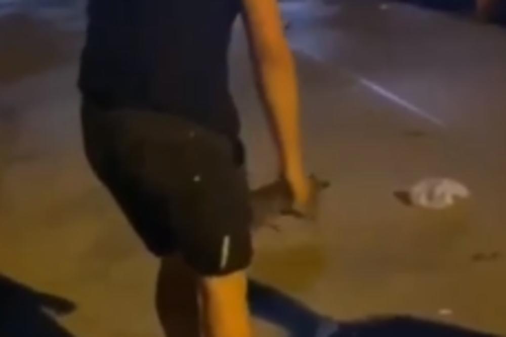 SNIMAK GLEDAJTE NA SVOJU ODGOVORNOST! Nasilnik se brutalno iživljava nad nemoćnom životinjom, SRBIJA JE ZGROŽENA