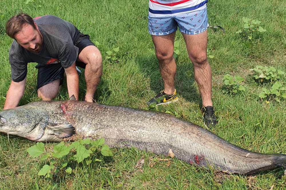 NIKOLA JE IZ REKE TOPLICE IZVUKAO PRAVU NEMAN! Nije verovao, teška je 67 kilograma! (FOTO)