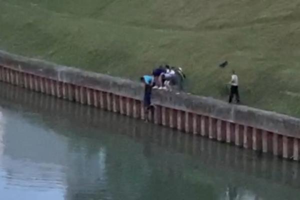 POLICIJSKI GEST KOJI JE ODUŠEVIO ZRENJANINCE! Spustio se naglavačke niz strmu obalu, pa zaplivao da bi izvukao psa