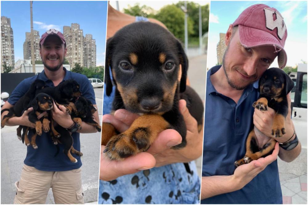 BILI SU BAČENI PORED PUTA! Balša našao pet kuca, a onda je uradio nešto jako plemenito! (FOTO)