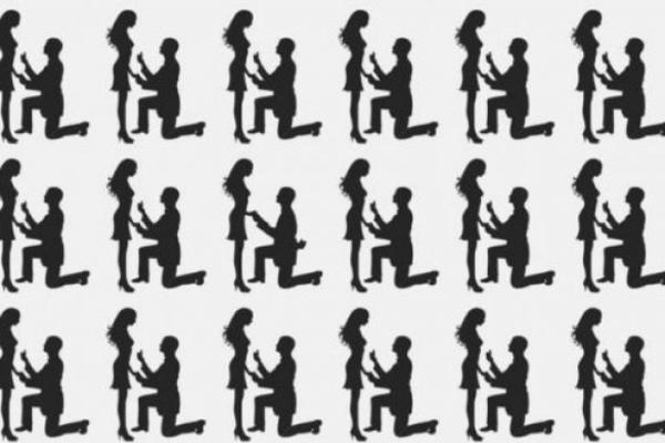 NAJINTELIGENTNIJI REŠE OVO ZA 10 SEKUNDI! Možete li da pronađete PAR koji se razlikuje za to vreme?