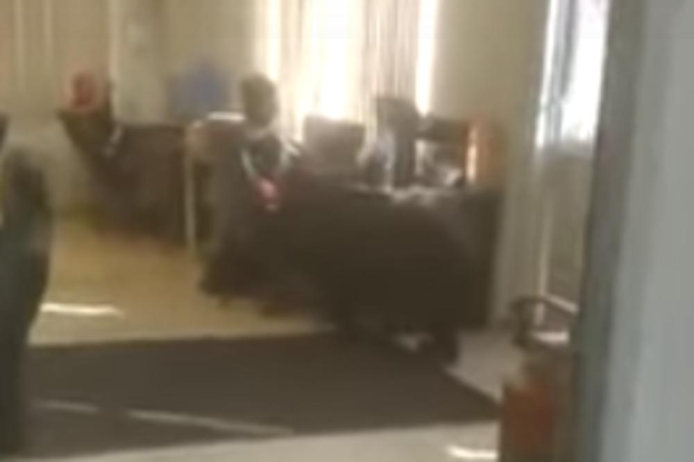 MUŠKARAC SEDEO U KANCELARIJI KADA SE IZA NJEGA POJAVILA ZVER! Svi su skočili kao opareni, ovaj snimak je nerealan