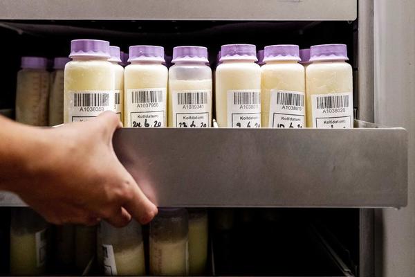 NIKO NIJE OČEKIVAO: Antitela ove životinje mogu biti važan adut u borbi protiv korone