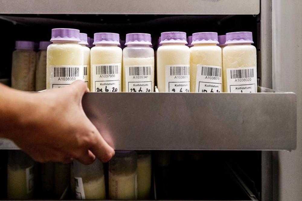 NIKO NIJE OČEKIVAO: Antitela ove životinje mogu biti važan adut u borbi protiv korone