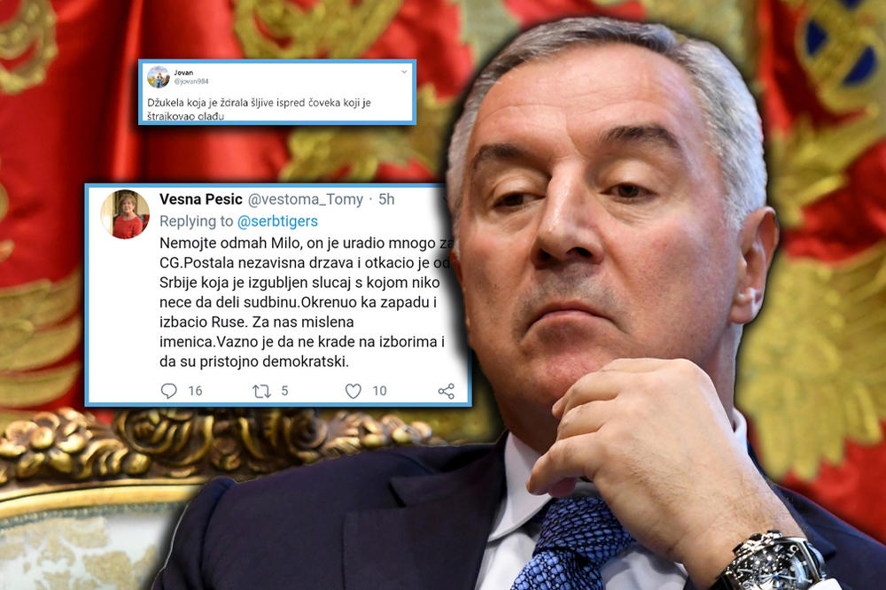 MATORA PROFUKNJAČA, KU*VETINA USTAŠKA, GOVEDO! Pešićeva ishvalila Mila i ispljuvala Srbiju, ali ju je to koštalo!