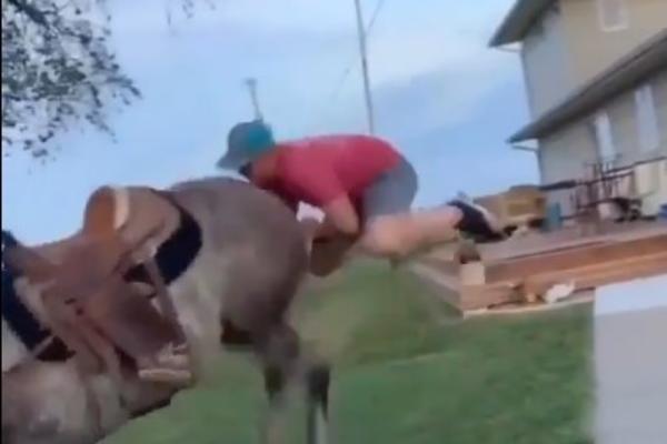 POČELO JE KAO SPRDNJA, A ZAVRŠILO KAO TRAGEDIJA: Lik je skočio na KONJA, a životinja ga je PATOSIRALA! (VIDEO)