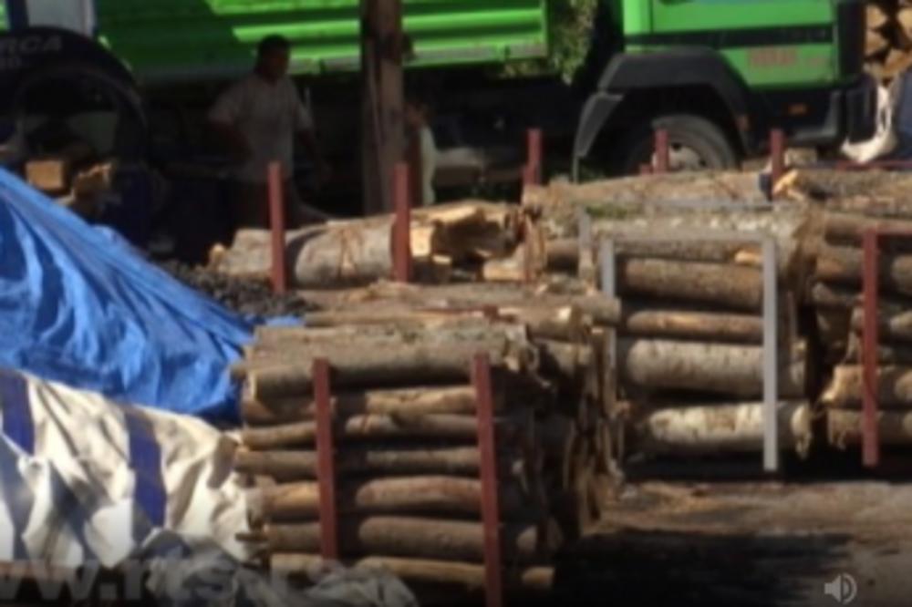 SRBI NAVALILI ŠTO PRE DA KUPE DRVA ZA ZIMU! A cene...e, ovo je iznenađenje