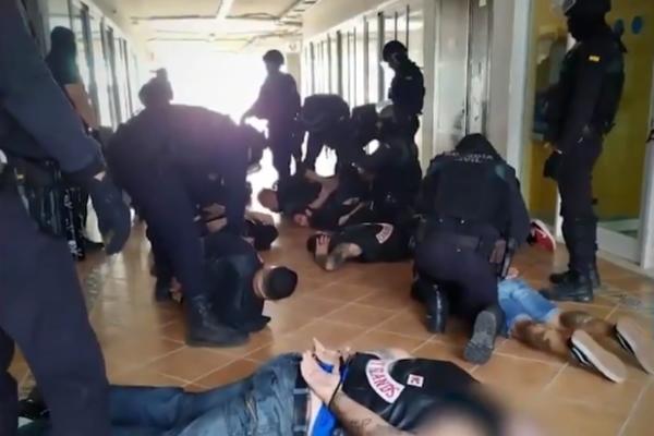 NAORUŽANI DO ZUBA ULETELI SU IM U JAZBINU I ISPREPADALI IH: Pogledajte kako je uhapšen srpski Pink panter (VIDEO)