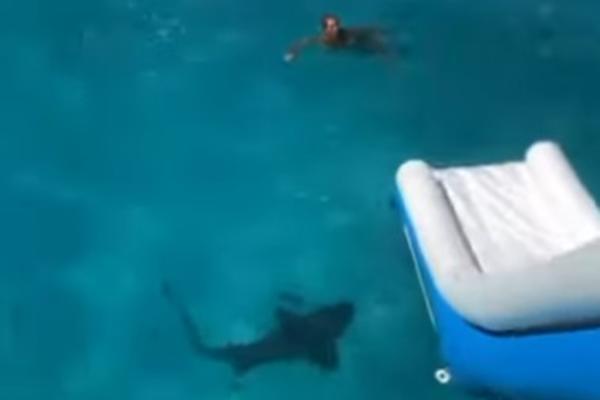 POPILA JE S PRIJATELJIMA I SKOČILA U PREDIVNO MORE: Idilu je prekinula AJKULA, u pitanju su bile SEKUNDE! (VIDEO)