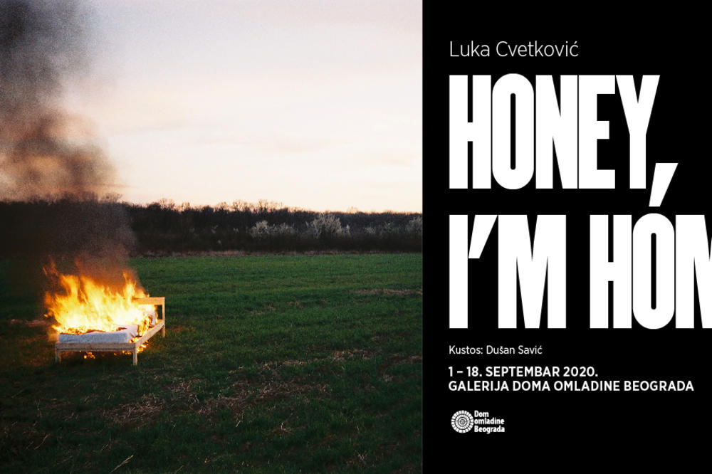Honey, I’m home - Izložba Luke Cvetkovića u Galeriji Doma omladine Beograda od 1. do 18. septembra 2020.