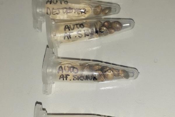 SRPSKI CARINICI SU BILI U ČUDU KAD SU VIDELI OVO: Kad su ukapirali o čemu je reč... (FOTO)