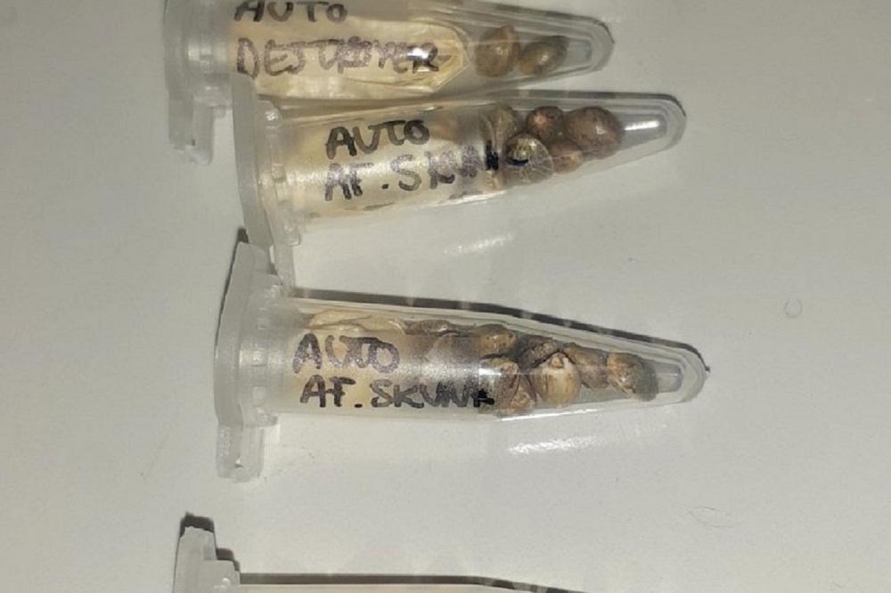 SRPSKI CARINICI SU BILI U ČUDU KAD SU VIDELI OVO: Kad su ukapirali o čemu je reč... (FOTO)